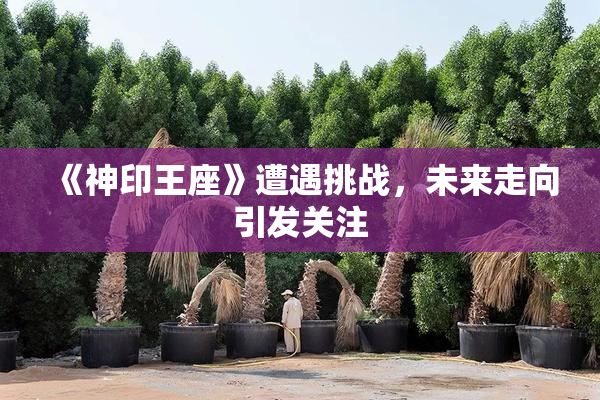 《神印王座》遭遇挑战，未来走向引发关注