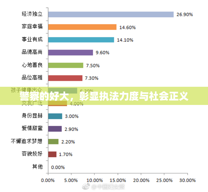 警察的好大，彰显执法力度与社会正义