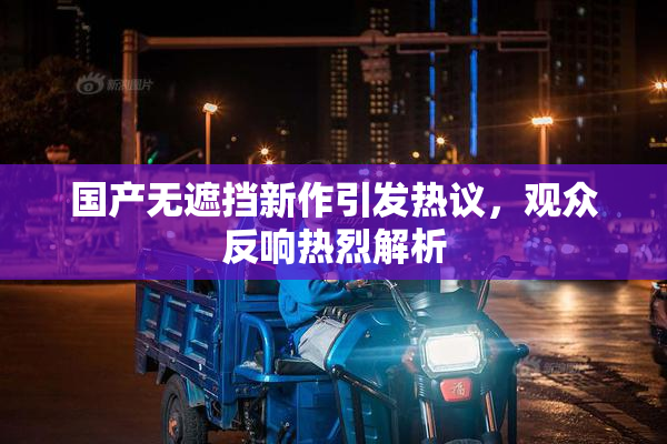 国产无遮挡新作引发热议，观众反响热烈解析