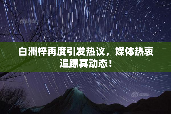 白洲梓再度引发热议，媒体热衷追踪其动态！