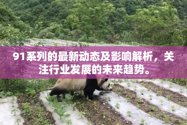 91系列的最新动态及影响解析，关注行业发展的未来趋势。