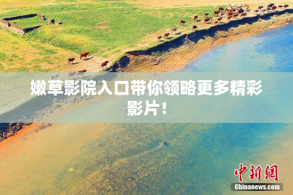嫩草影院入口带你领略更多精彩影片！