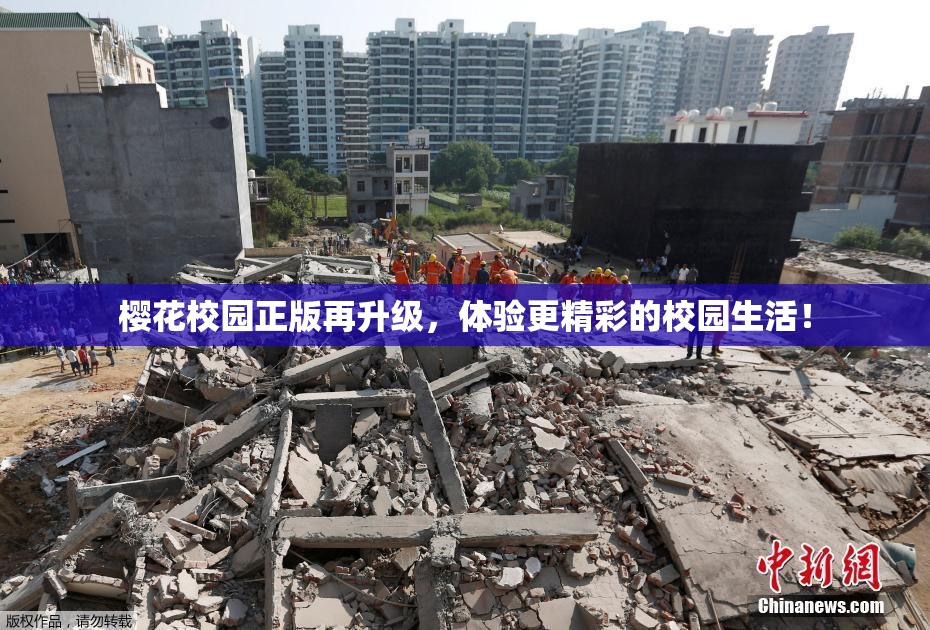 樱花校园正版再升级，体验更精彩的校园生活！