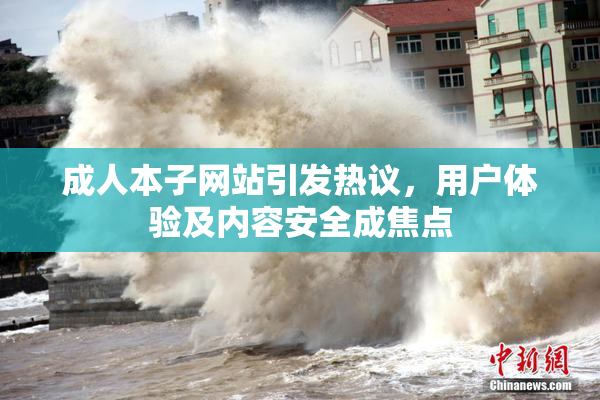 成人本子网站引发热议，用户体验及内容安全成焦点