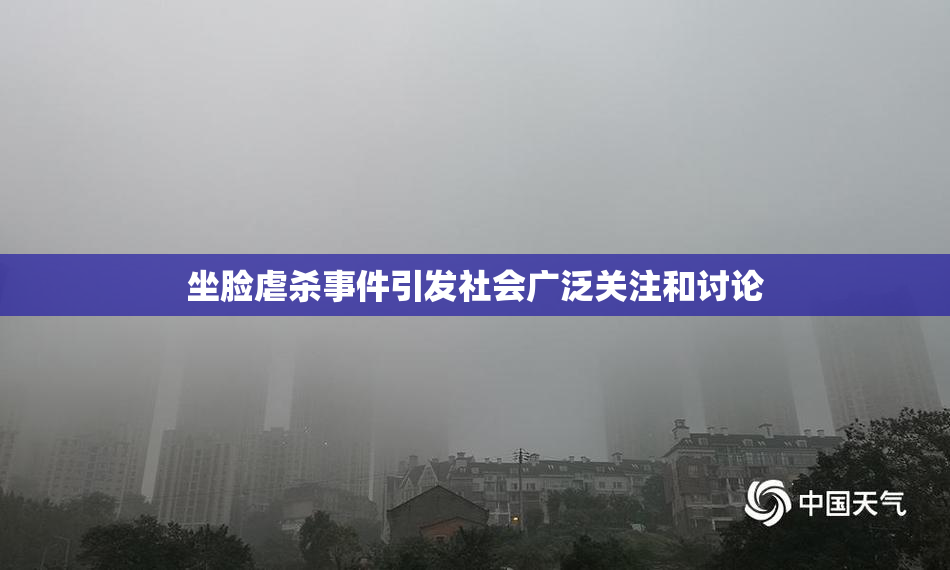 坐脸虐杀事件引发社会广泛关注和讨论