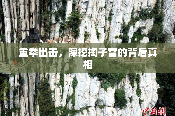 重拳出击，深挖掏子宫的背后真相