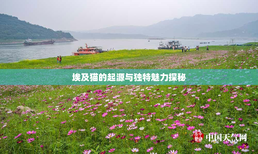 埃及猫的起源与独特魅力探秘