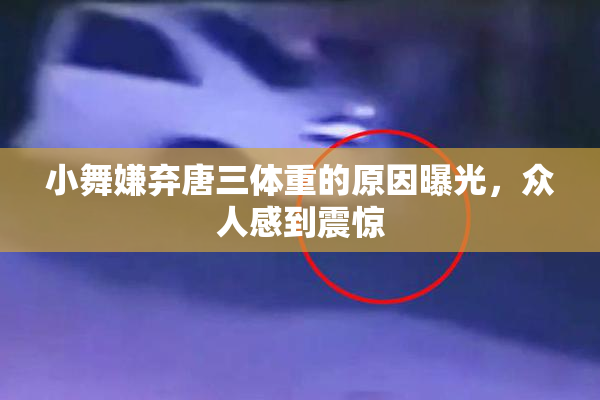 小舞嫌弃唐三体重的原因曝光，众人感到震惊