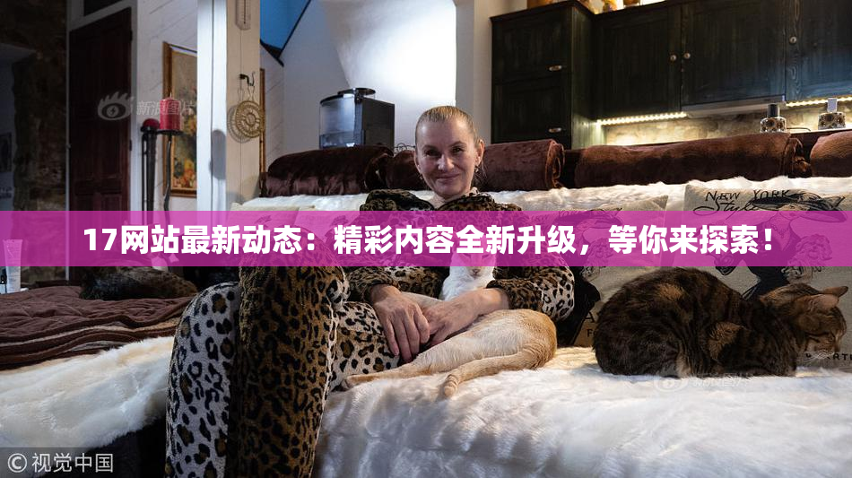 17网站最新动态：精彩内容全新升级，等你来探索！
