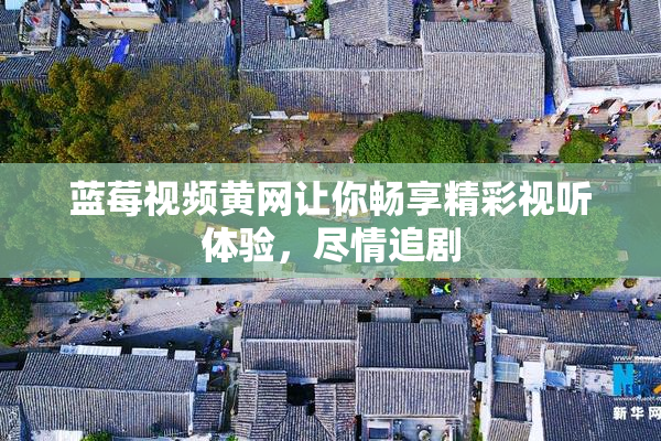 蓝莓视频黄网让你畅享精彩视听体验，尽情追剧