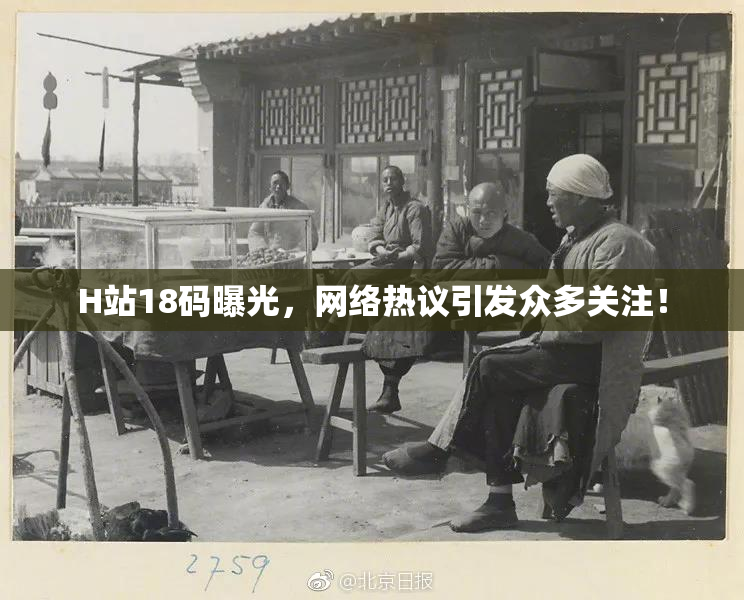 H站18码曝光，网络热议引发众多关注！