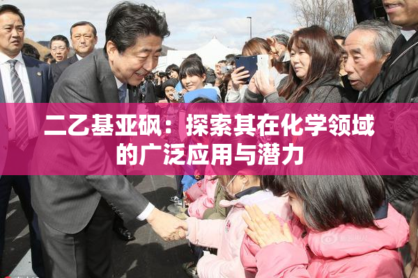 二乙基亚砜：探索其在化学领域的广泛应用与潜力