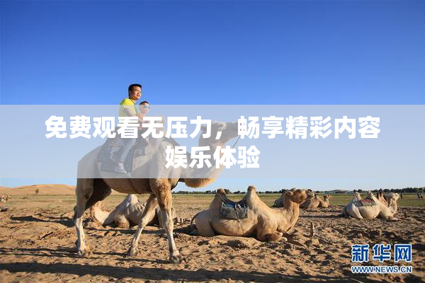 免费观看无压力，畅享精彩内容娱乐体验