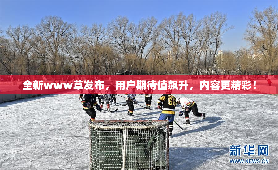 全新www草发布，用户期待值飙升，内容更精彩！