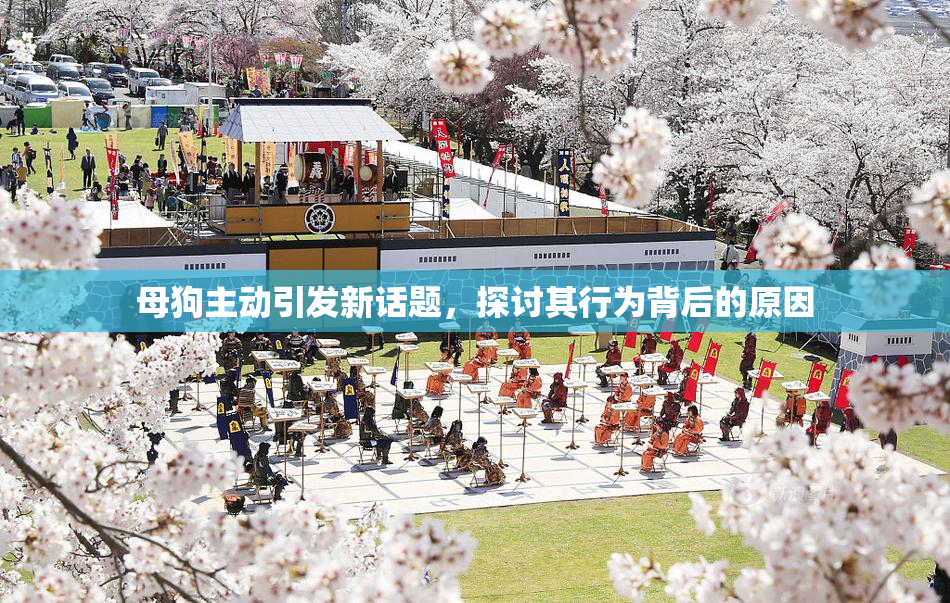 母狗主动引发新话题，探讨其行为背后的原因