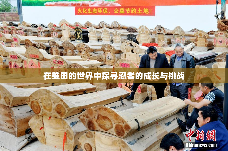 在雏田的世界中探寻忍者的成长与挑战