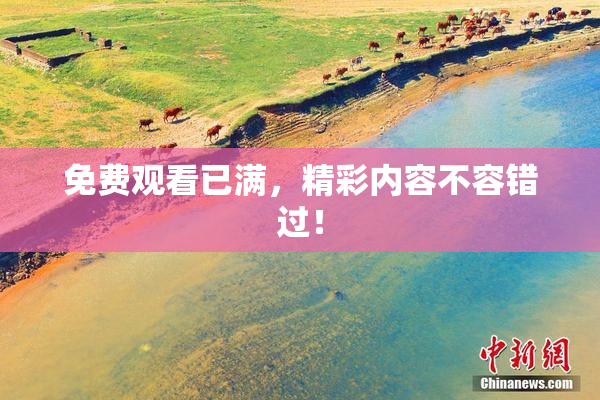 免费观看已满，精彩内容不容错过！