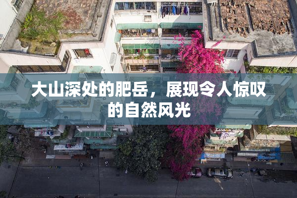 大山深处的肥岳，展现令人惊叹的自然风光