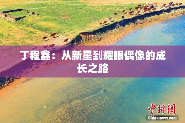 丁程鑫：从新星到耀眼偶像的成长之路
