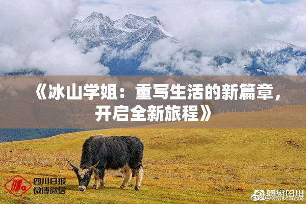 《冰山学姐：重写生活的新篇章，开启全新旅程》