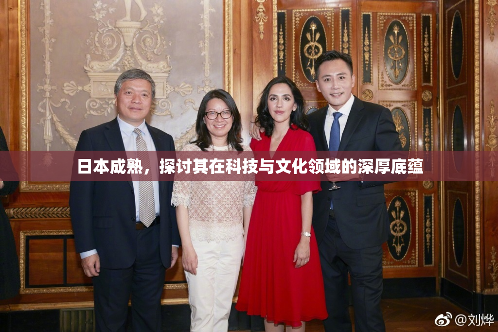 日本成熟，探讨其在科技与文化领域的深厚底蕴