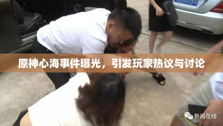 原神心海事件曝光，引发玩家热议与讨论