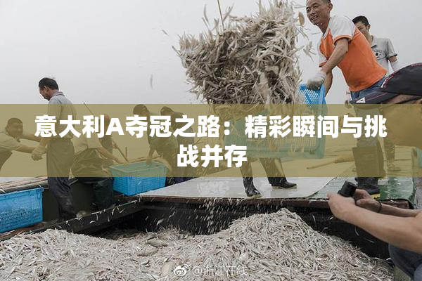 意大利A夺冠之路：精彩瞬间与挑战并存