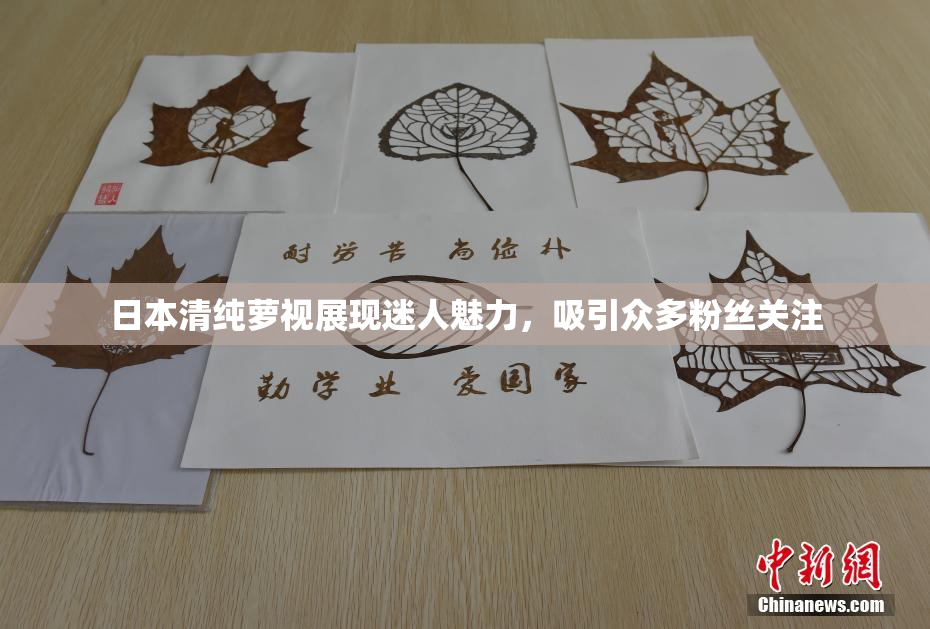 日本清纯萝视展现迷人魅力，吸引众多粉丝关注