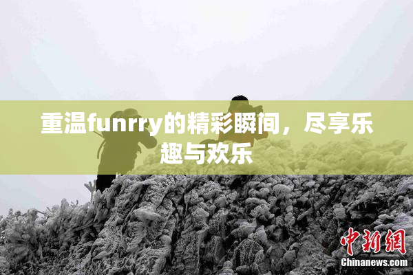 重温funrry的精彩瞬间，尽享乐趣与欢乐