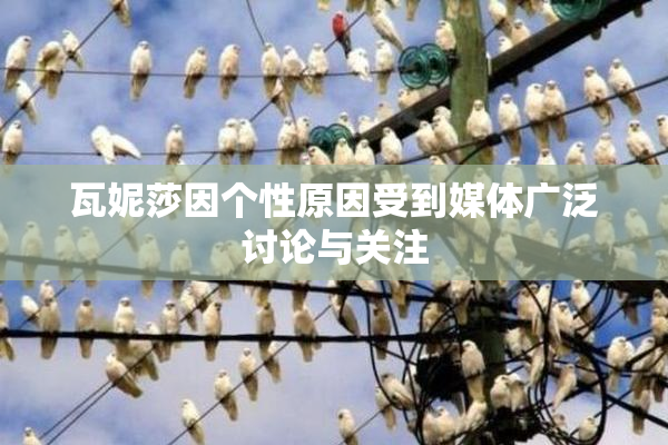 瓦妮莎因个性原因受到媒体广泛讨论与关注