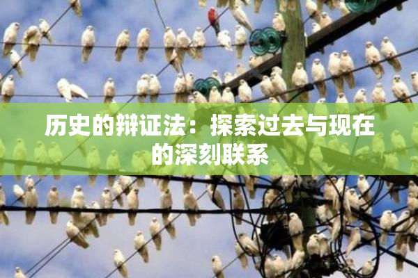 历史的辩证法：探索过去与现在的深刻联系