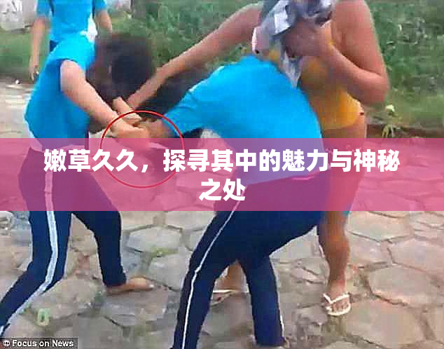嫩草久久，探寻其中的魅力与神秘之处