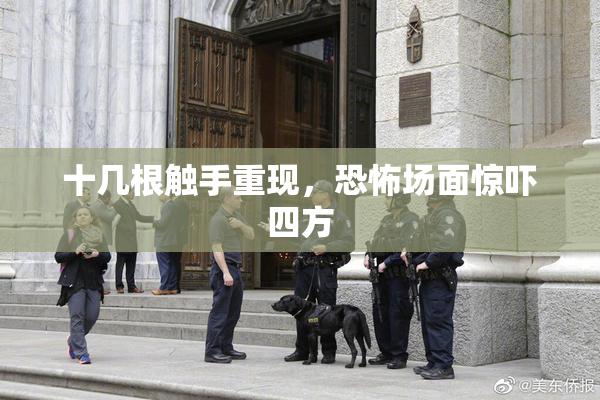 十几根触手重现，恐怖场面惊吓四方
