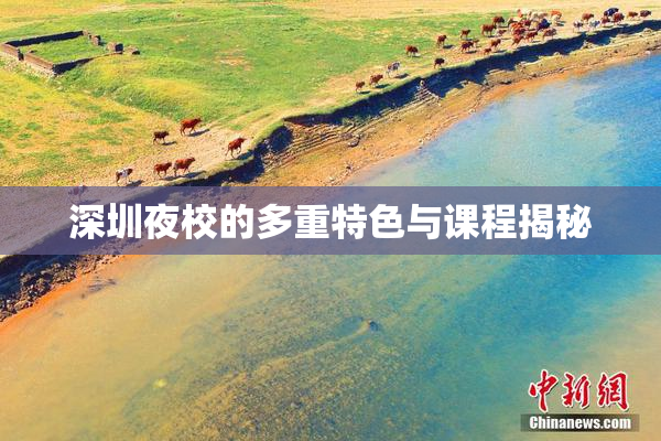深圳夜校的多重特色与课程揭秘