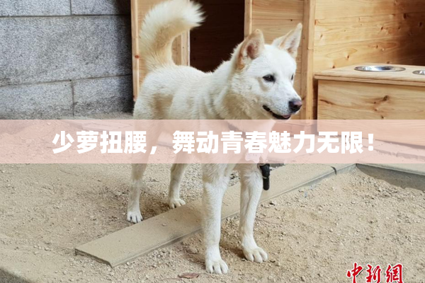 少萝扭腰，舞动青春魅力无限！