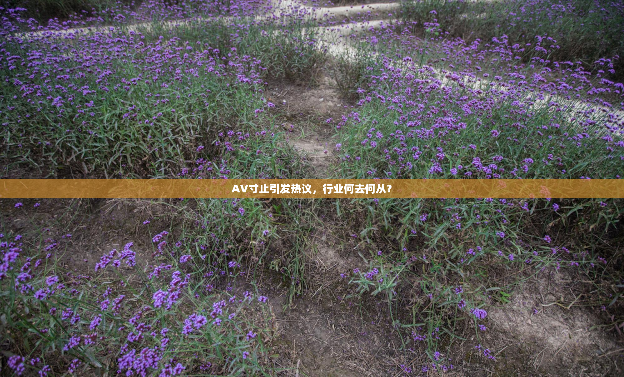 AV寸止引发热议，行业何去何从？
