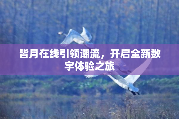皆月在线引领潮流，开启全新数字体验之旅