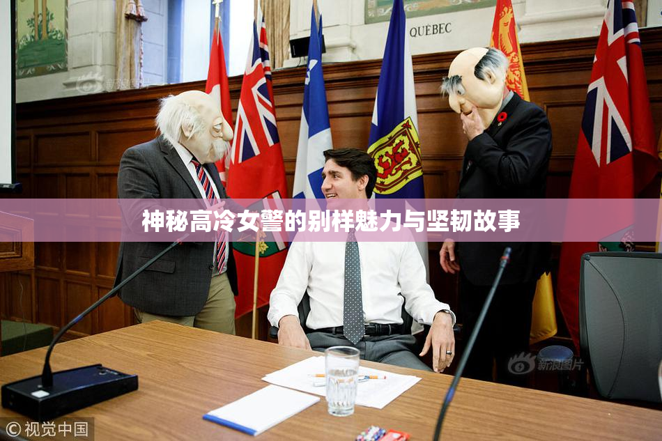 神秘高冷女警的别样魅力与坚韧故事