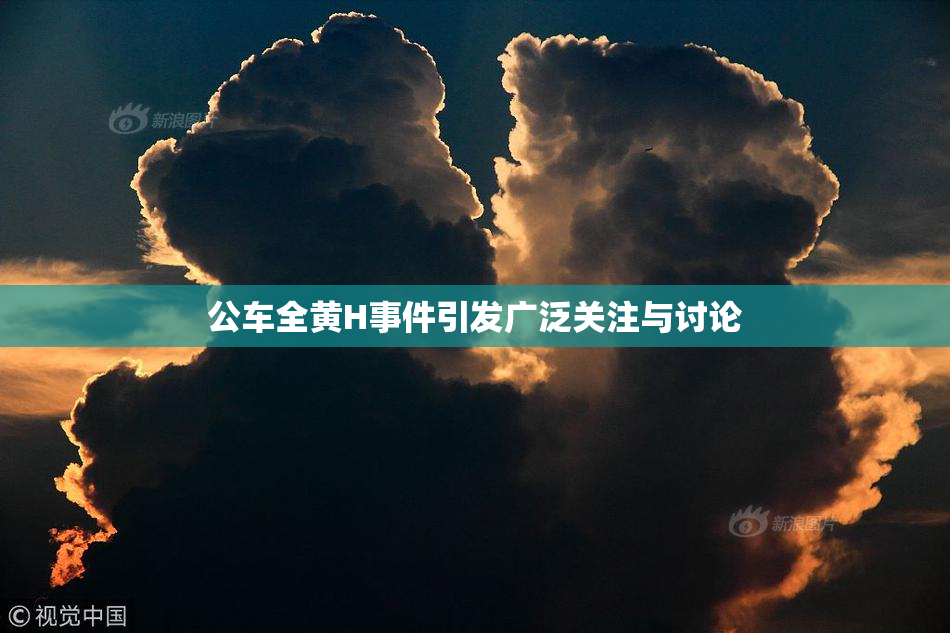 公车全黄H事件引发广泛关注与讨论
