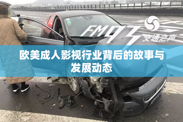 欧美成人影视行业背后的故事与发展动态