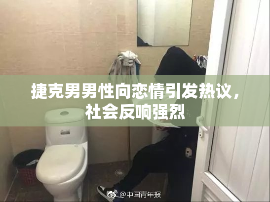 捷克男男性向恋情引发热议，社会反响强烈