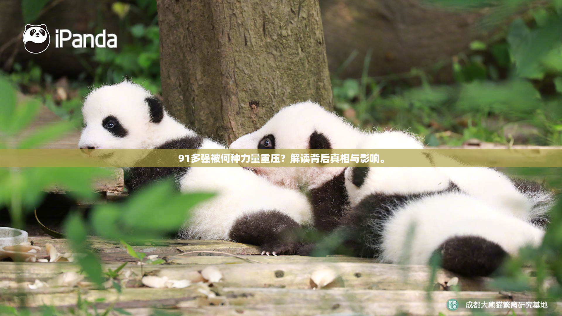 91多强被何种力量重压？解读背后真相与影响。