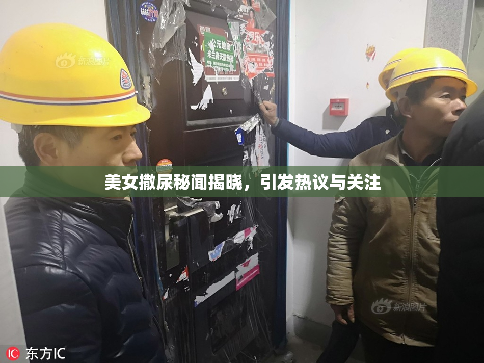 美女撒尿秘闻揭晓，引发热议与关注