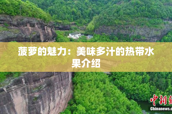 菠萝的魅力：美味多汁的热带水果介绍