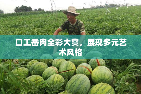 口工番肉全彩大赏，展现多元艺术风格