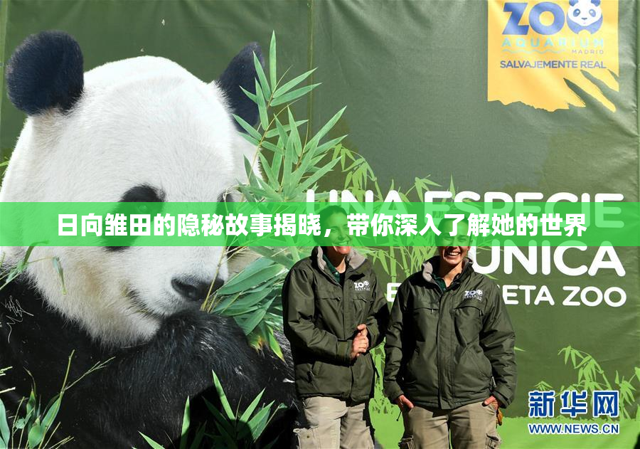 日向雏田的隐秘故事揭晓，带你深入了解她的世界