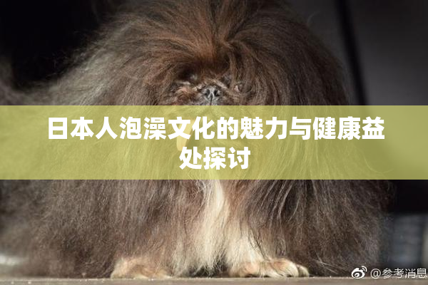 日本人泡澡文化的魅力与健康益处探讨
