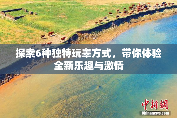 探索6种独特玩睾方式，带你体验全新乐趣与激情