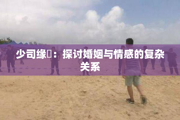 少司缘婬：探讨婚姻与情感的复杂关系