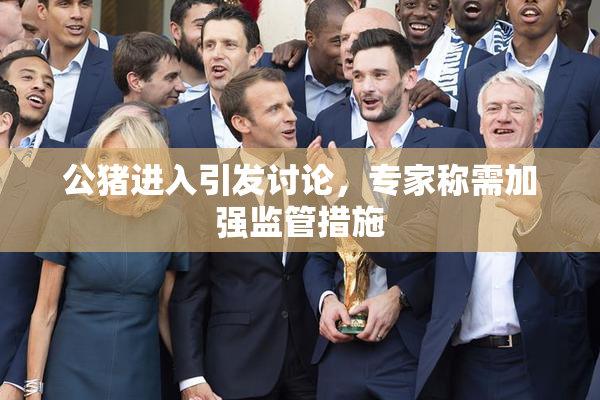 公猪进入引发讨论，专家称需加强监管措施